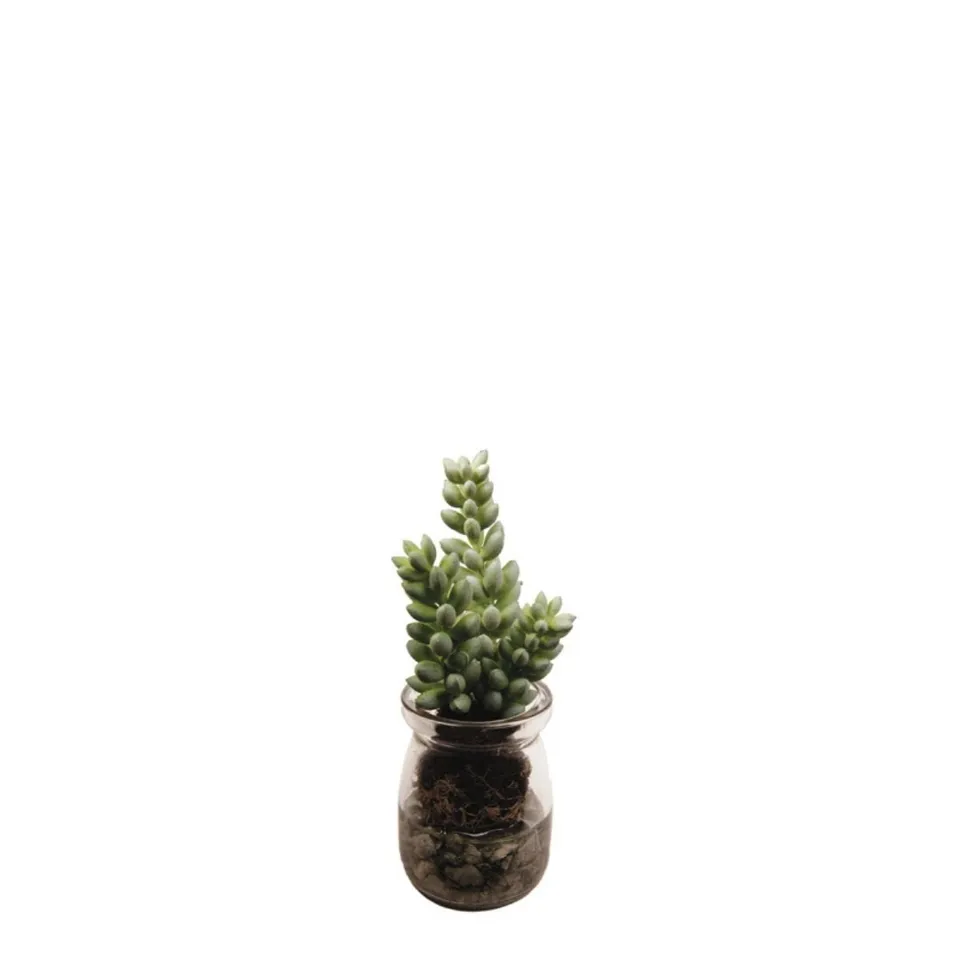 sia-deco-noah-sedum-succulente-artificielle-verte-13-cm image 1