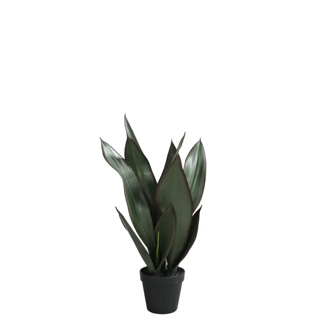 sia-deco-noah-sansevieria-plante-artificielle-verte-49-cm image 1