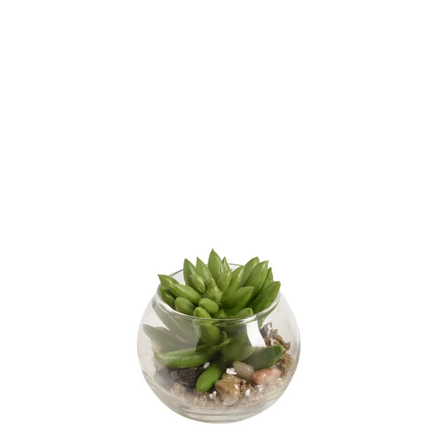 sia-noah-echeveria-plante-artificielle-terrarium-vert-8-cm image 1