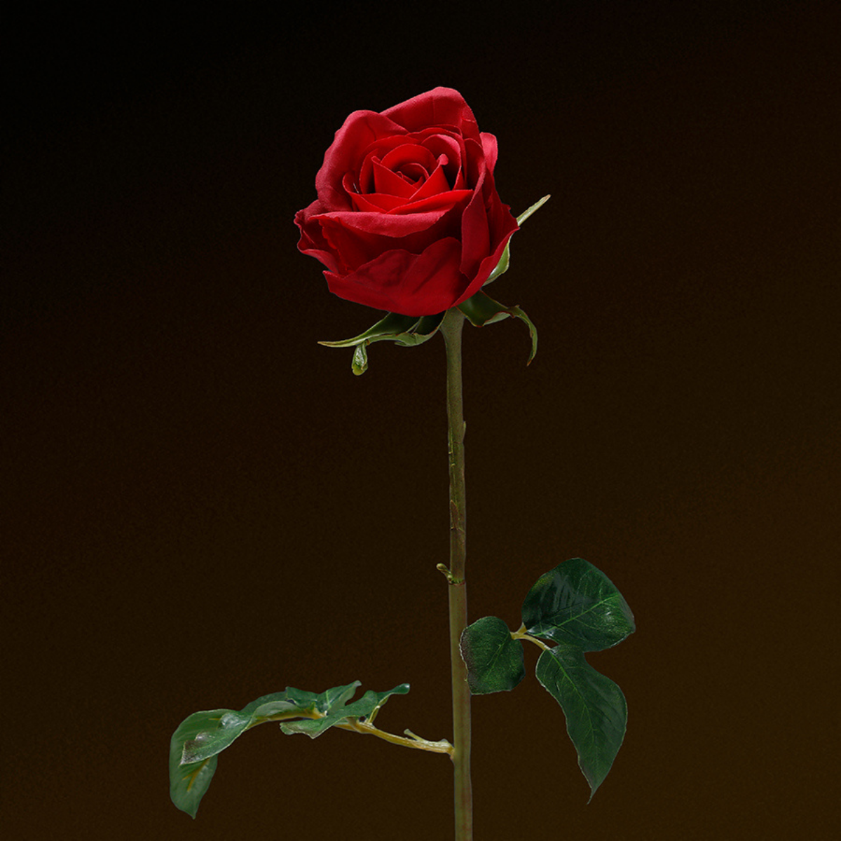 sia-noah-tige-rose-ferm-e-50-cm-rouge-premium image 2