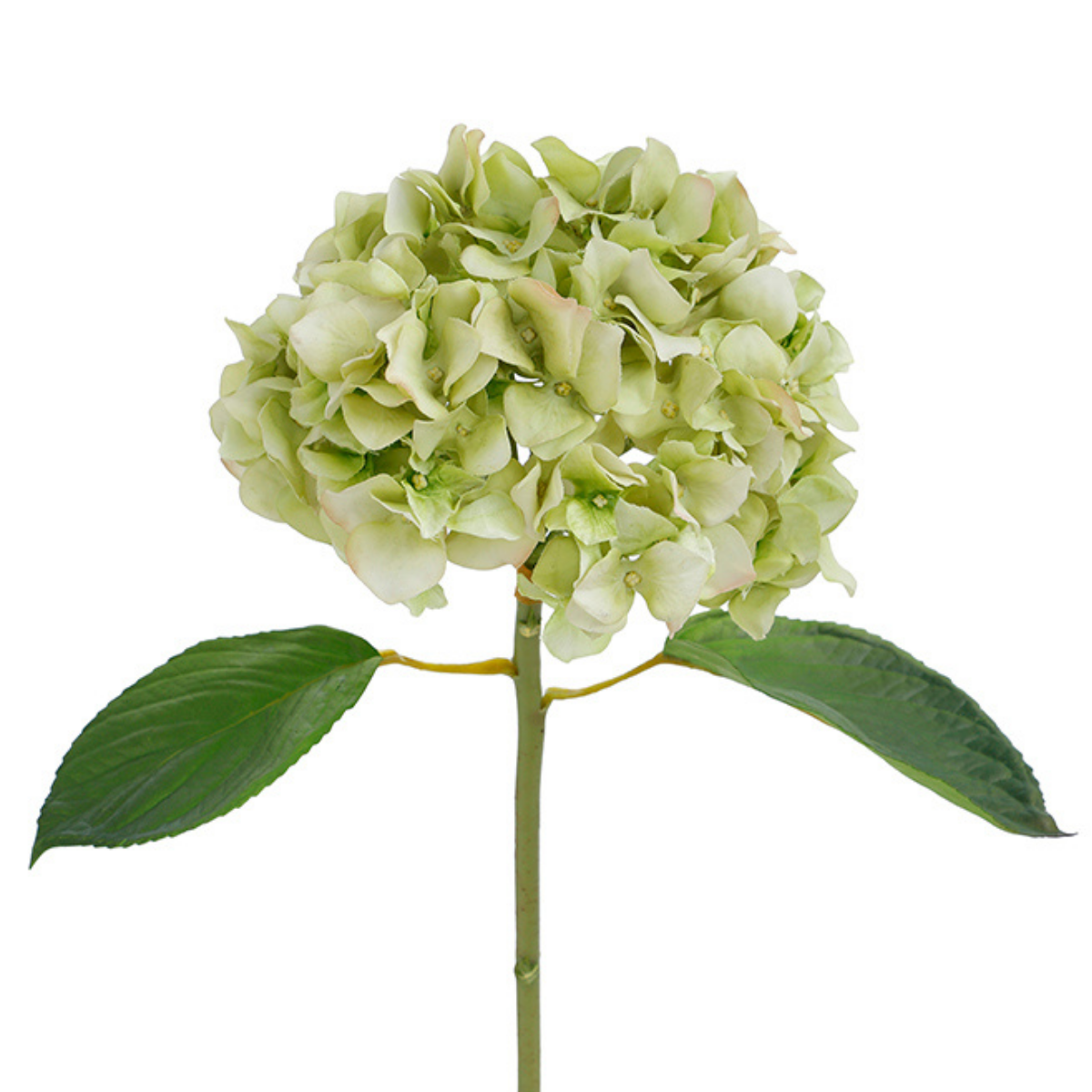 sia-deco-noah-tige-hortensia-artificielle-45-cm-blanc-et-rose image 5