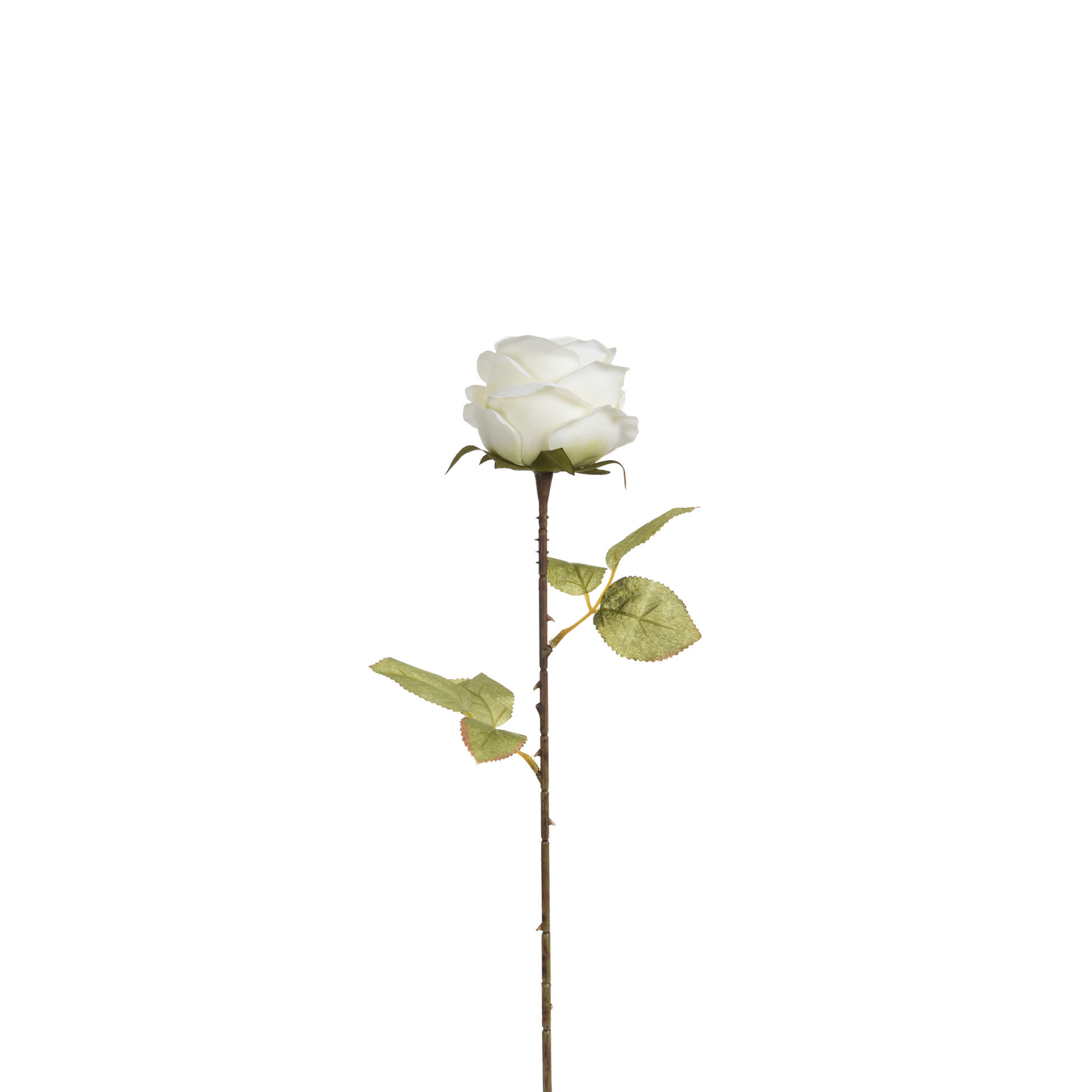 sia-noah-tige-rose-artificielle-56-cm-rose image 4