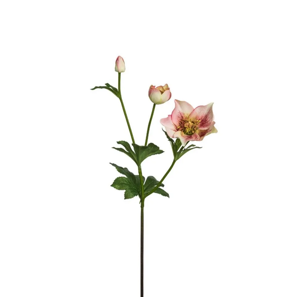sia-noah-helleborus-tige-artificielle-45-cm-rose-clair image 1
