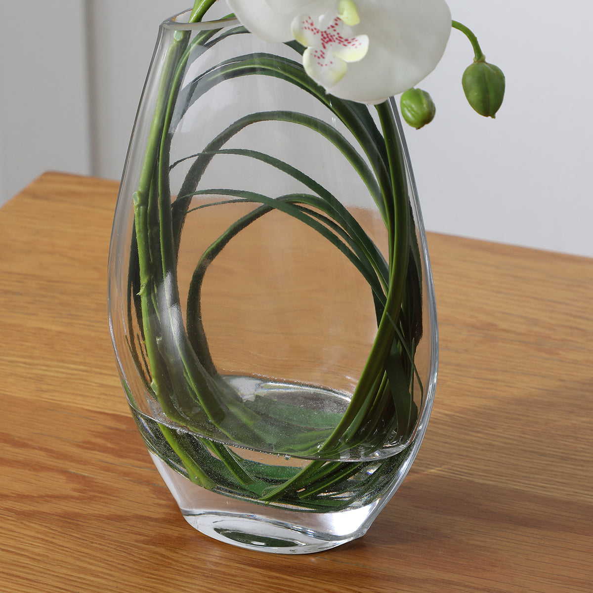 sia-deco-noah-composition-orchid-e-29-cm-plante-blanc image 4
