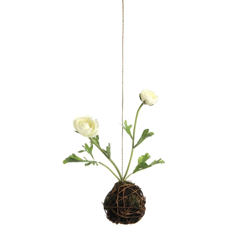 sia-noah-suspension-renoncules-blanc-18-cm image 1