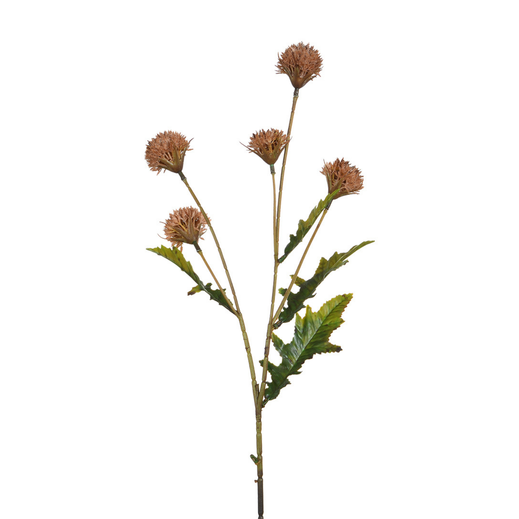 sia-deco-noah-chrysanth-me-ping-pong-fleur-artificielle-blanc-62-cm image 4