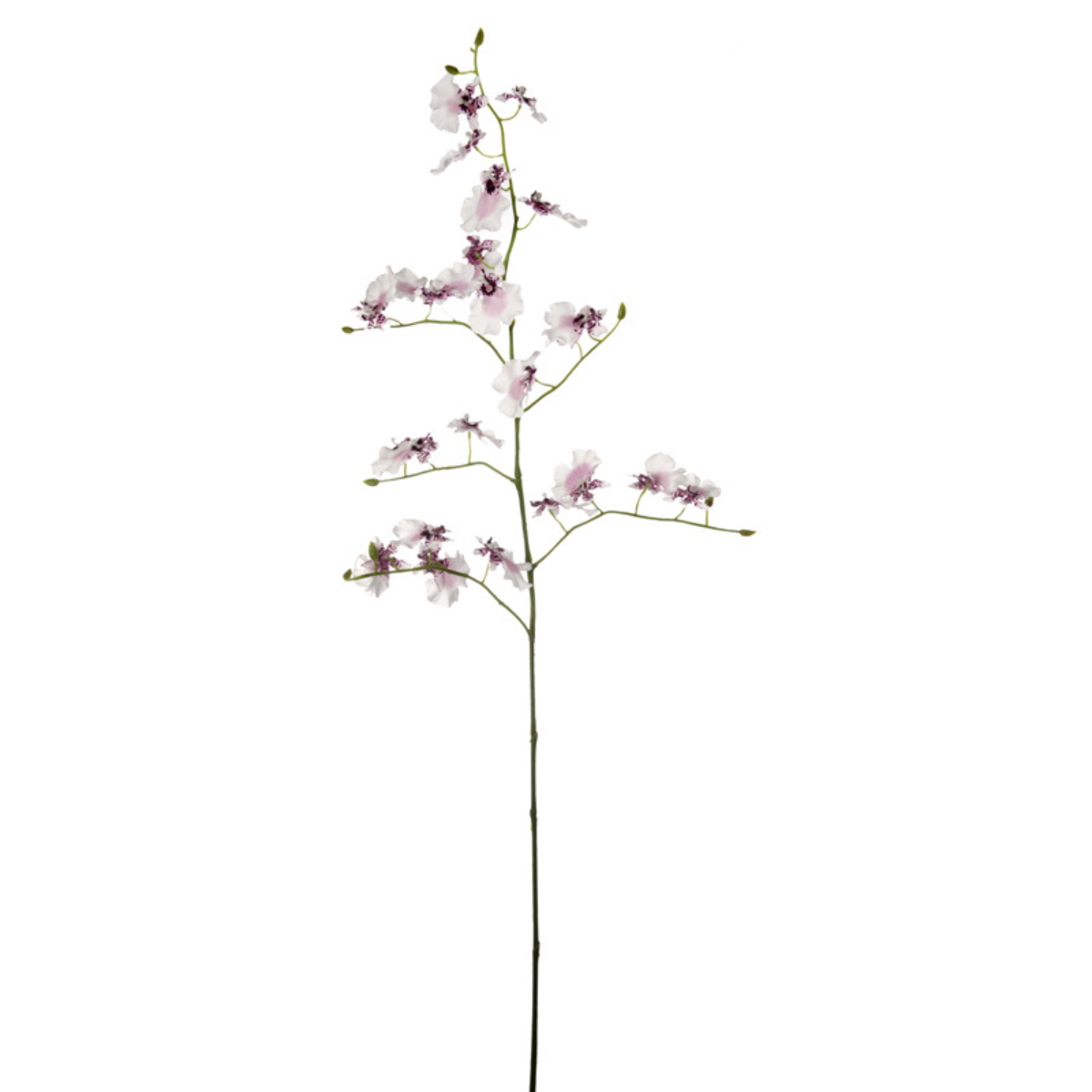 sia-deco-noah-tige-orchid-e-oncidium-violet-140-cm image 3