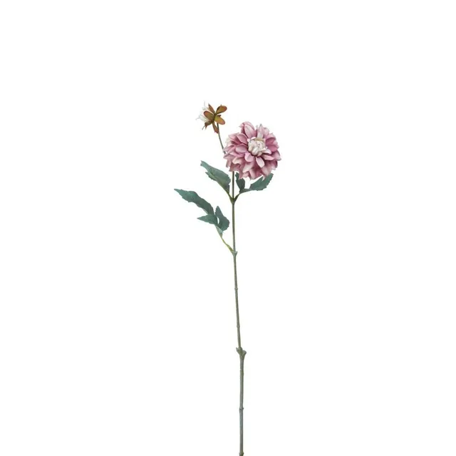 sia-noah-tige-dahlia-waterlily-rose-jaune-64-cm image 1