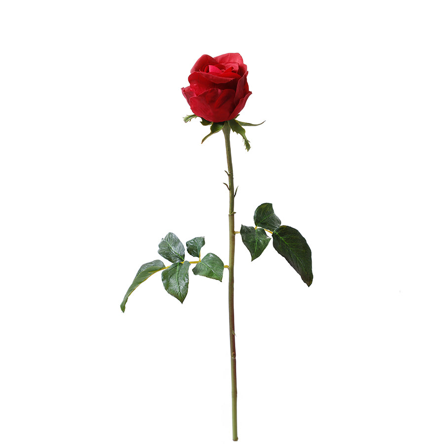 sia-noah-tige-rose-ferm-e-50-cm-rouge-premium image 7
