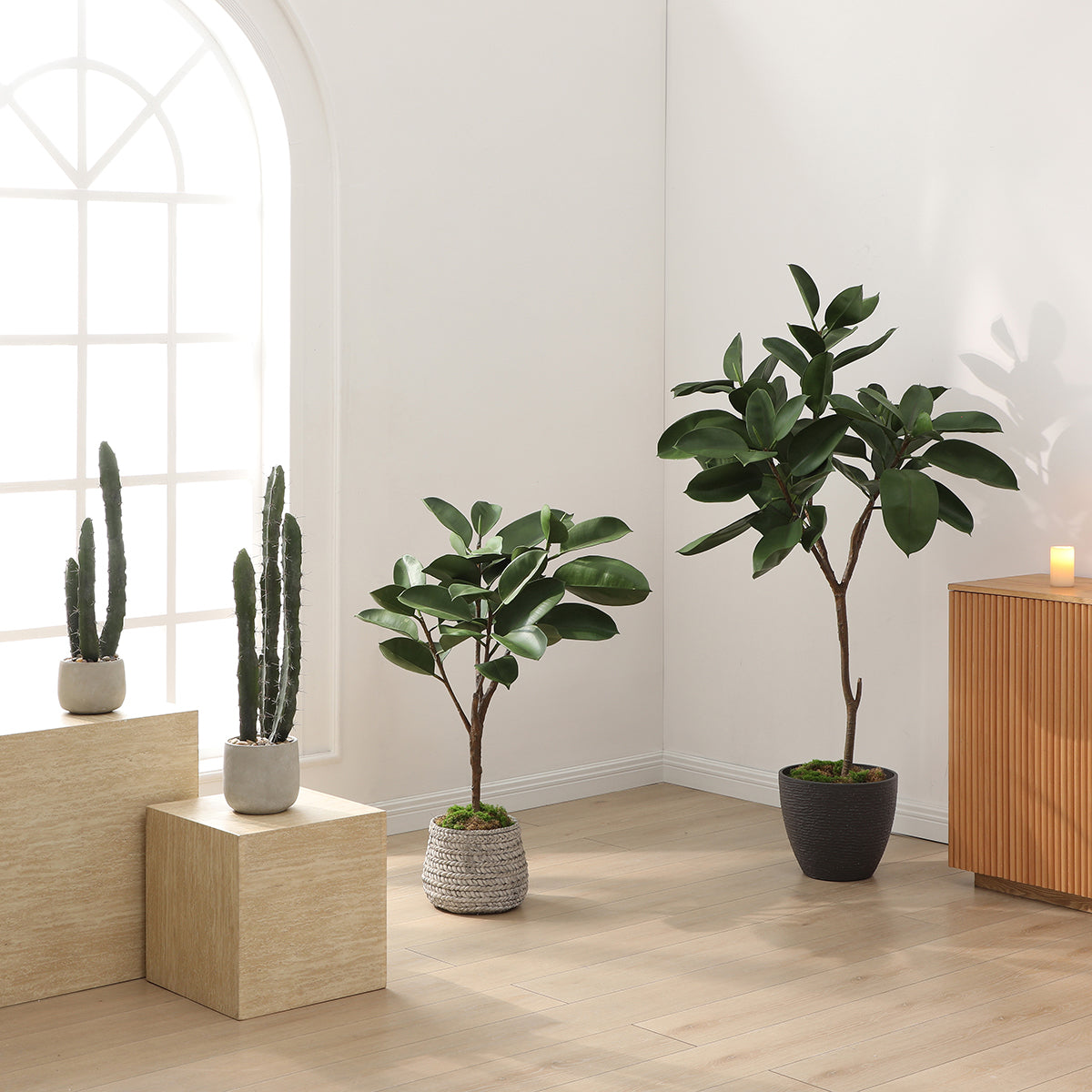 sia-noah-ficus-artificiel-vert-en-pot-165-cm-r-aliste image 3
