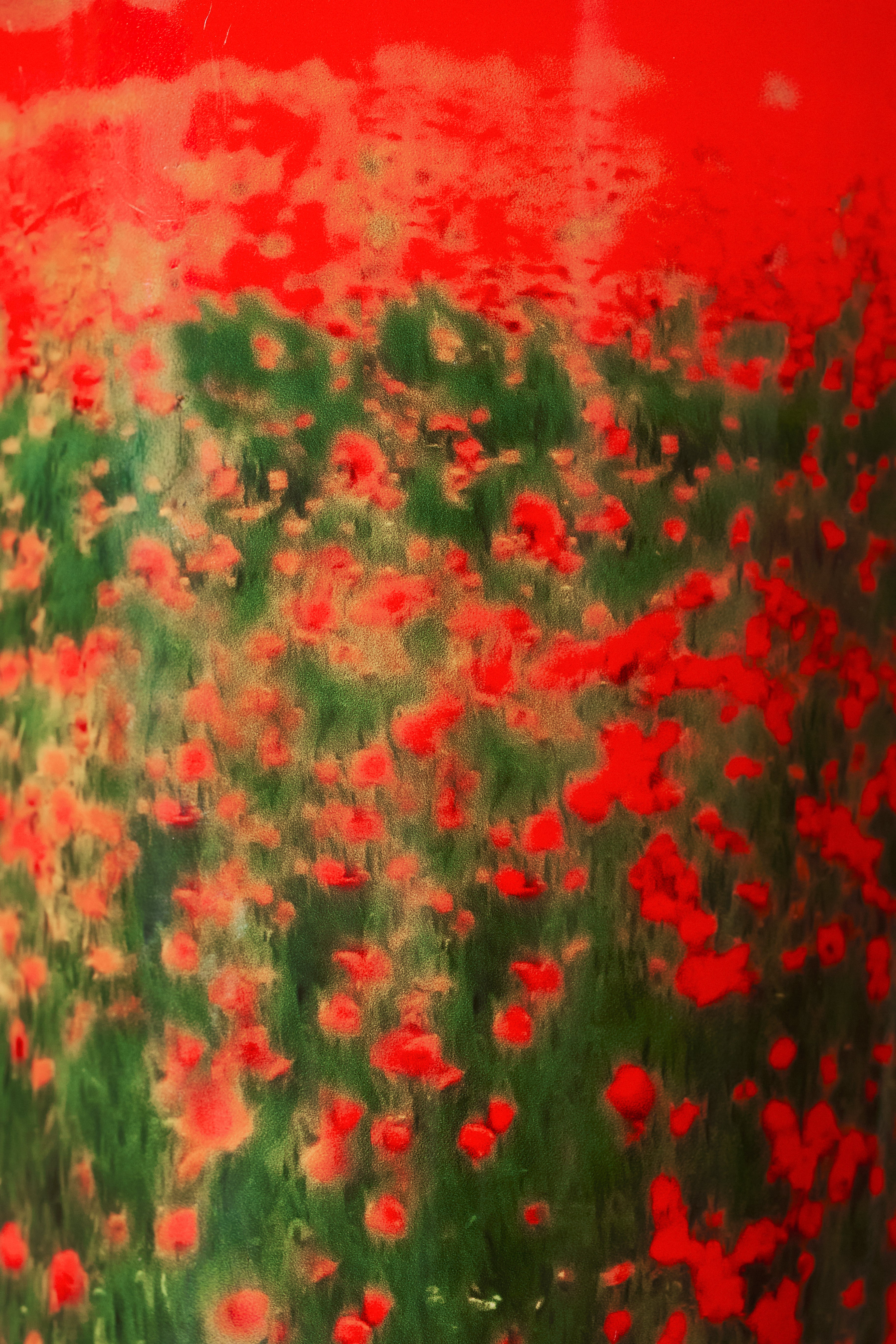 baobab-arty-flowers-poppies-bougie-parfum-e-coquelicot image 4