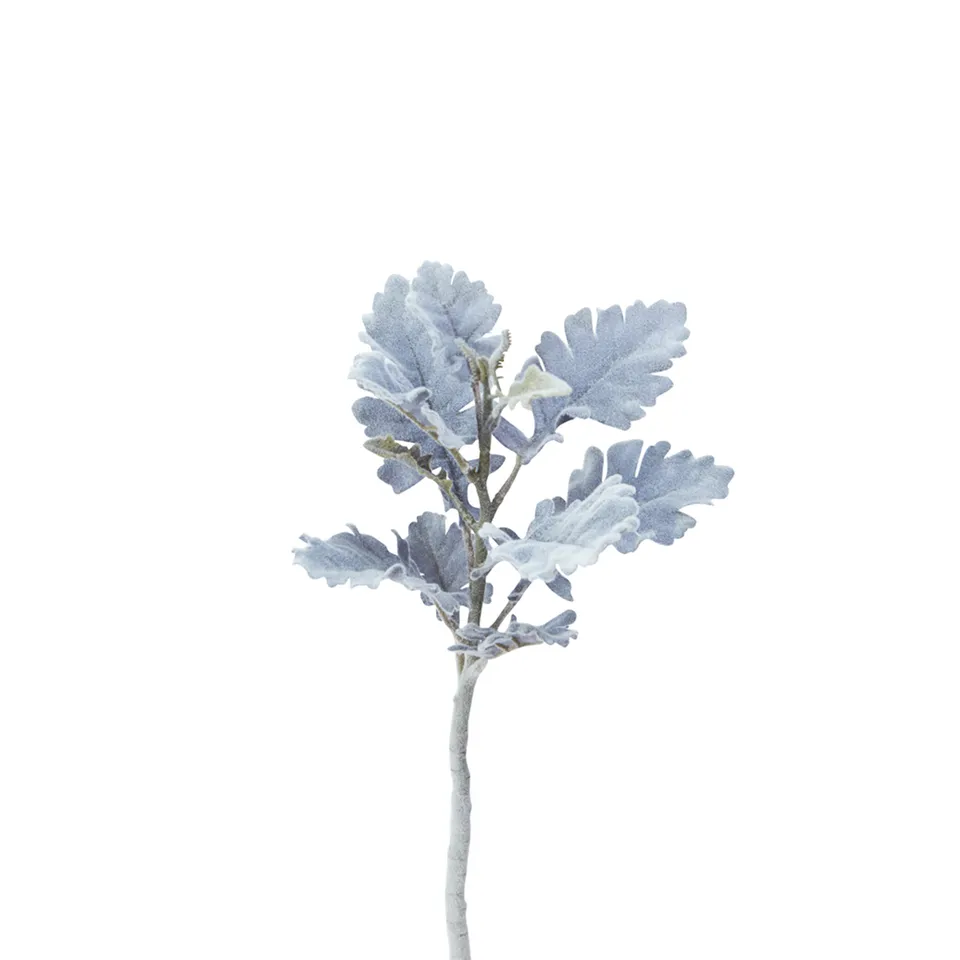sia-deco-noah-dusty-miller-tige-feuillage-vert-30-cm image 1