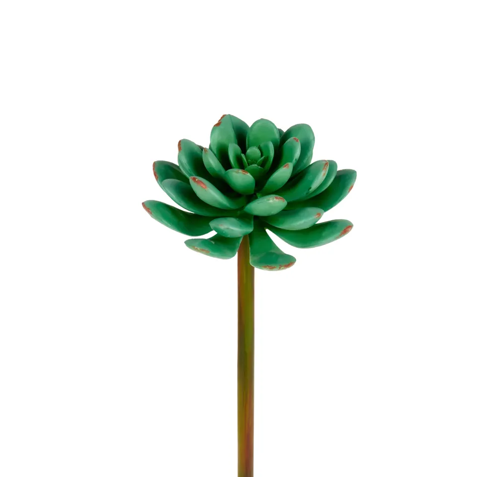 sia-noah-echeveria-feuillage-artificiel-vert-20-cm image 1