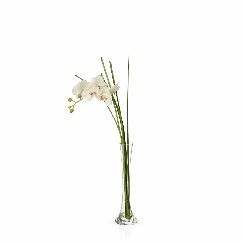 sia-deco-noah-orchid-e-eau-60-cm-cr-me-verre image 1