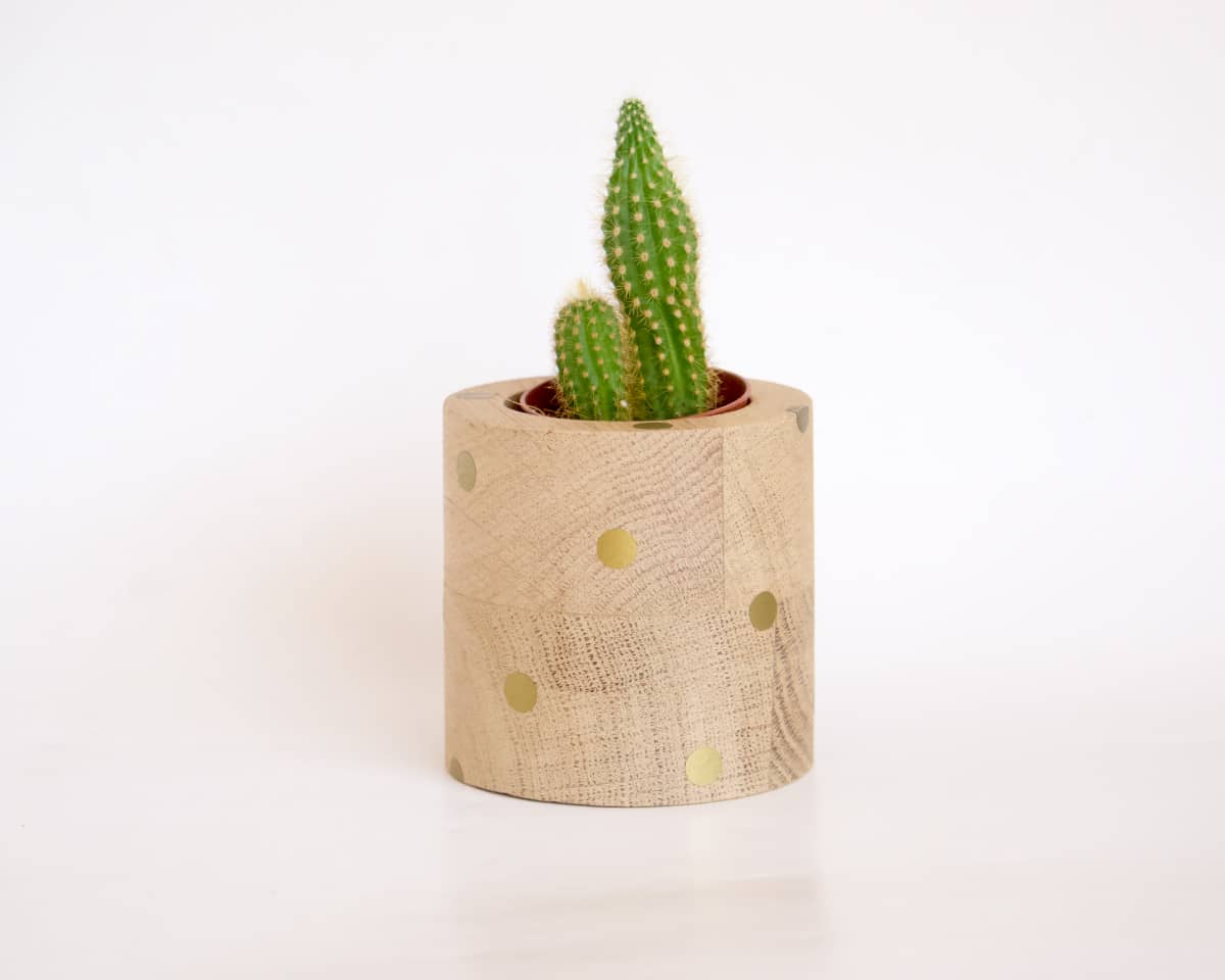 am-cla-pots-cache-pot-bois-rond-pois-dor-s-ch-ne-9-cm image 3