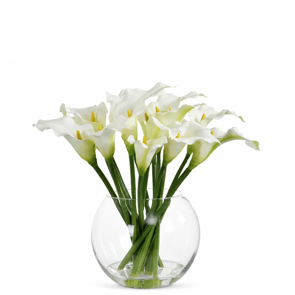 sia-noah-composition-arums-blanc-vase-verre-45-cm image 1