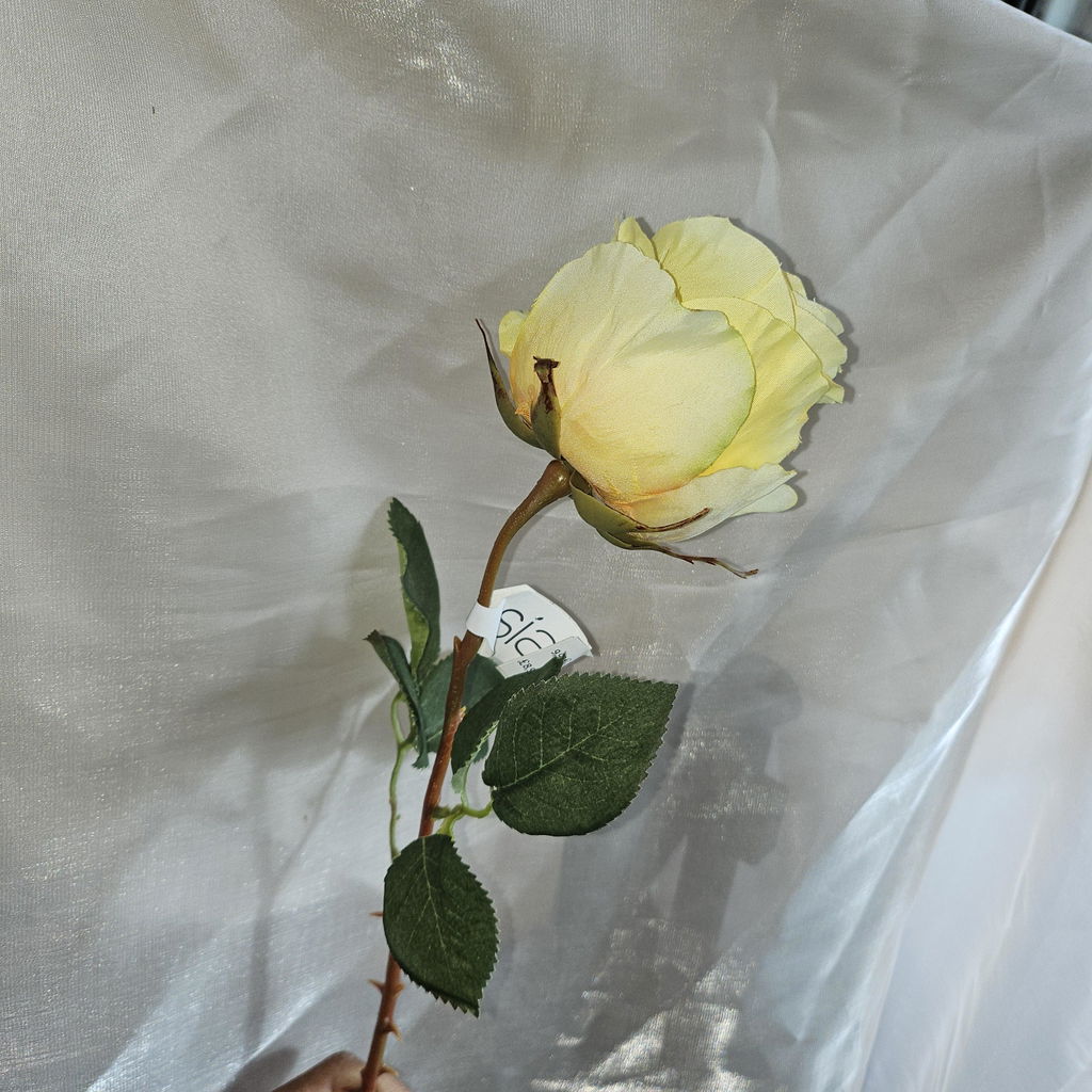 Seule en vase