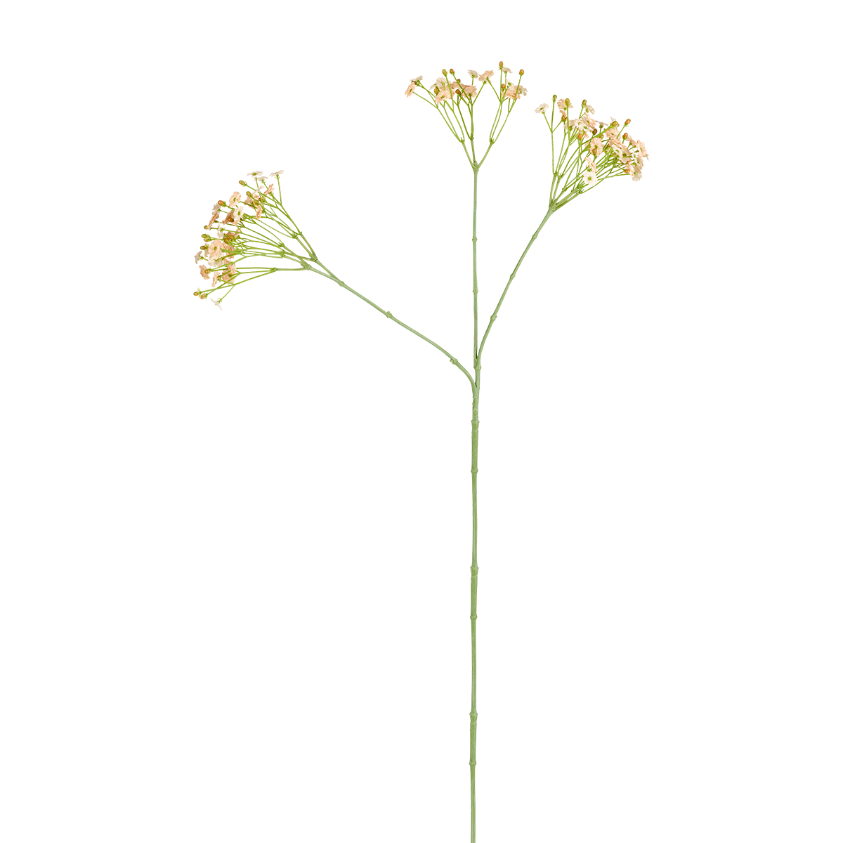 sia-noah-gypsophile-tige-artificielle-blanc-rose-63-cm image 3