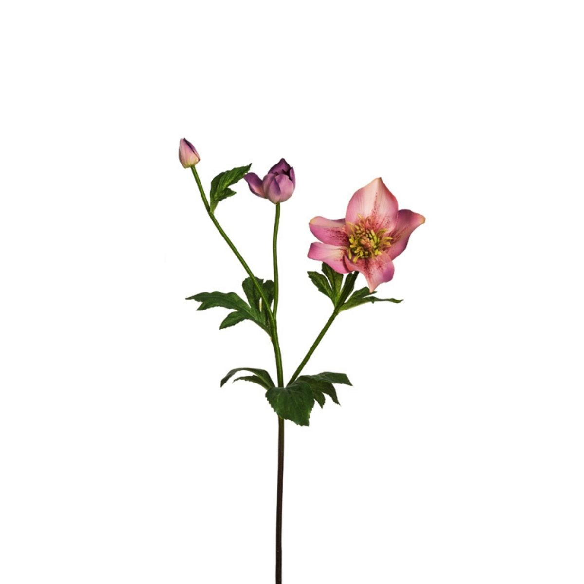 sia-noah-helleborus-tige-artificielle-45-cm-rose-clair image 2