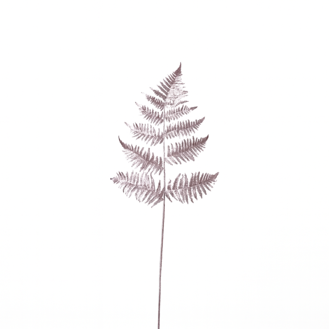 sia-noah-foug-re-m-tallique-argent-73-cm-tige image 1