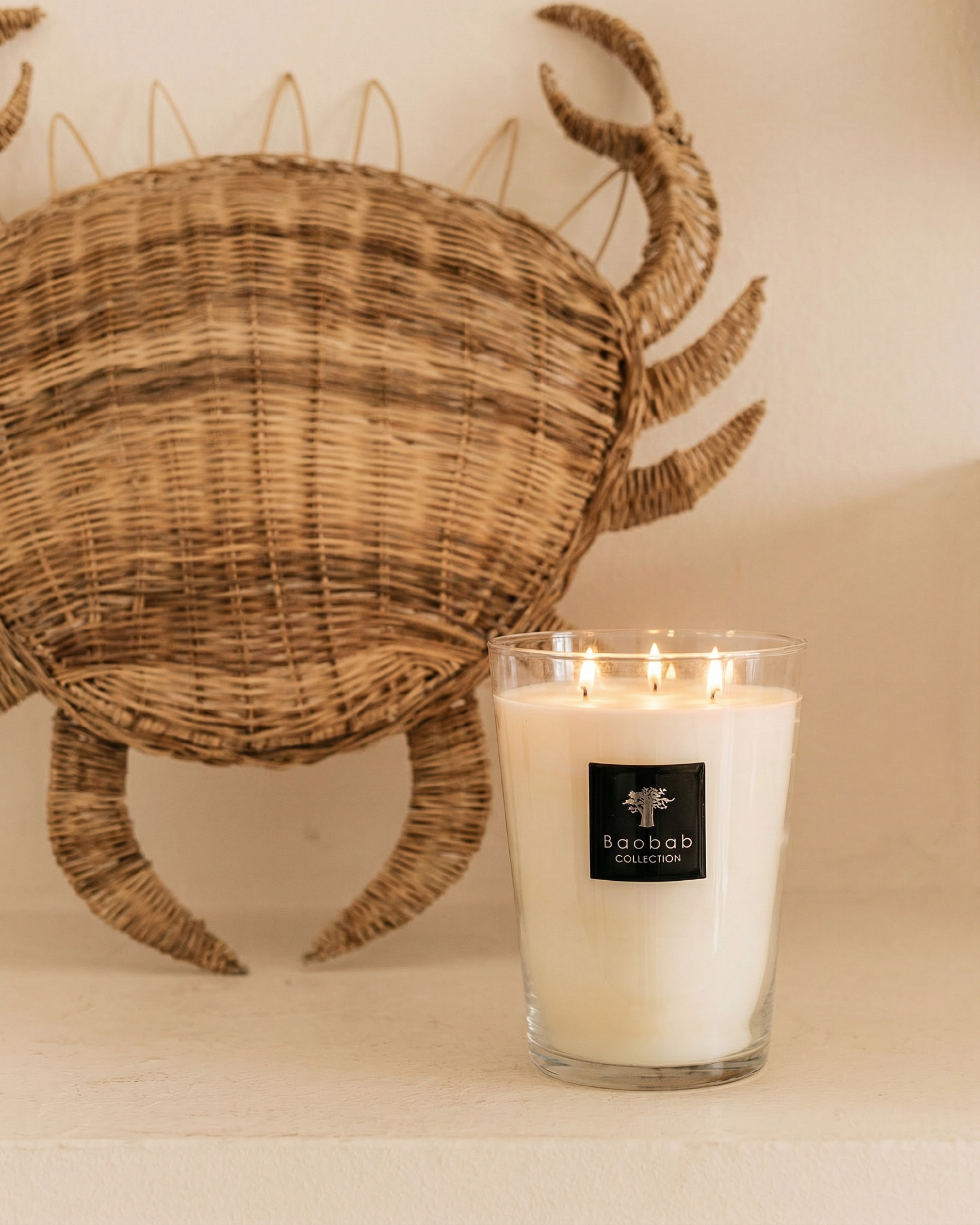 baobab-all-seasons-madagascar-vanilla-bougie-classique image 2