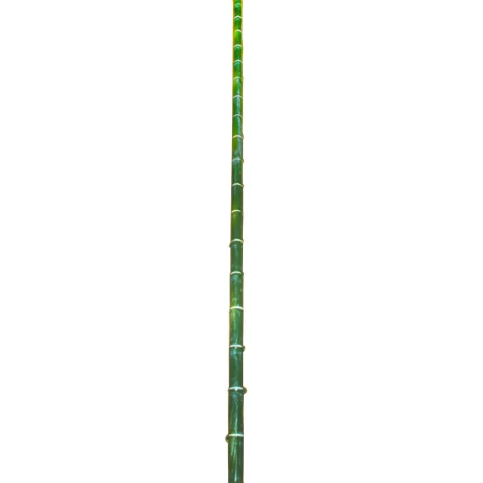 sia-deco-noah-branche-de-bambou-artificiel-vert-140-cm image 1