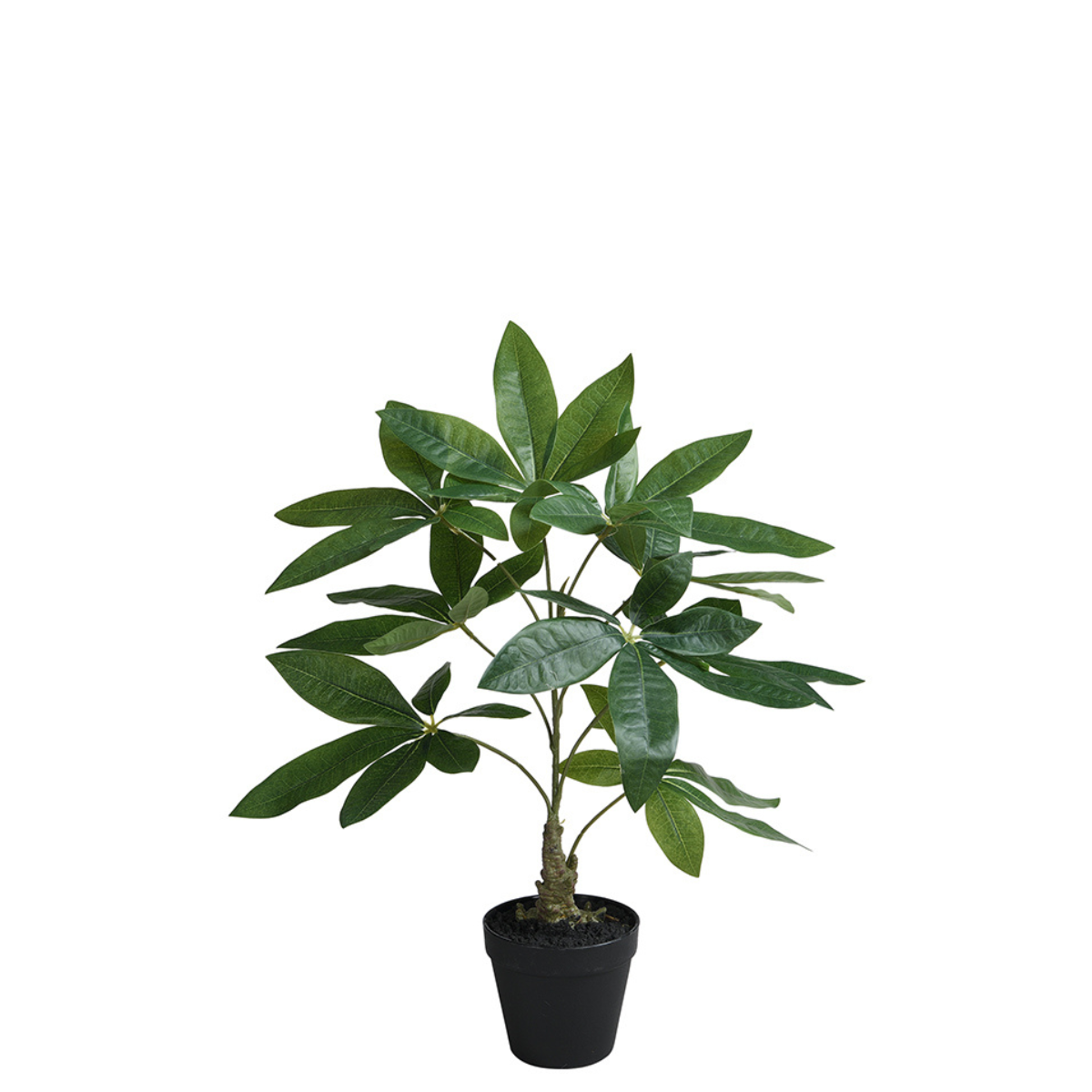 sia-deco-noah-pachira-artificiel-en-pot-vert-52-cm image 1