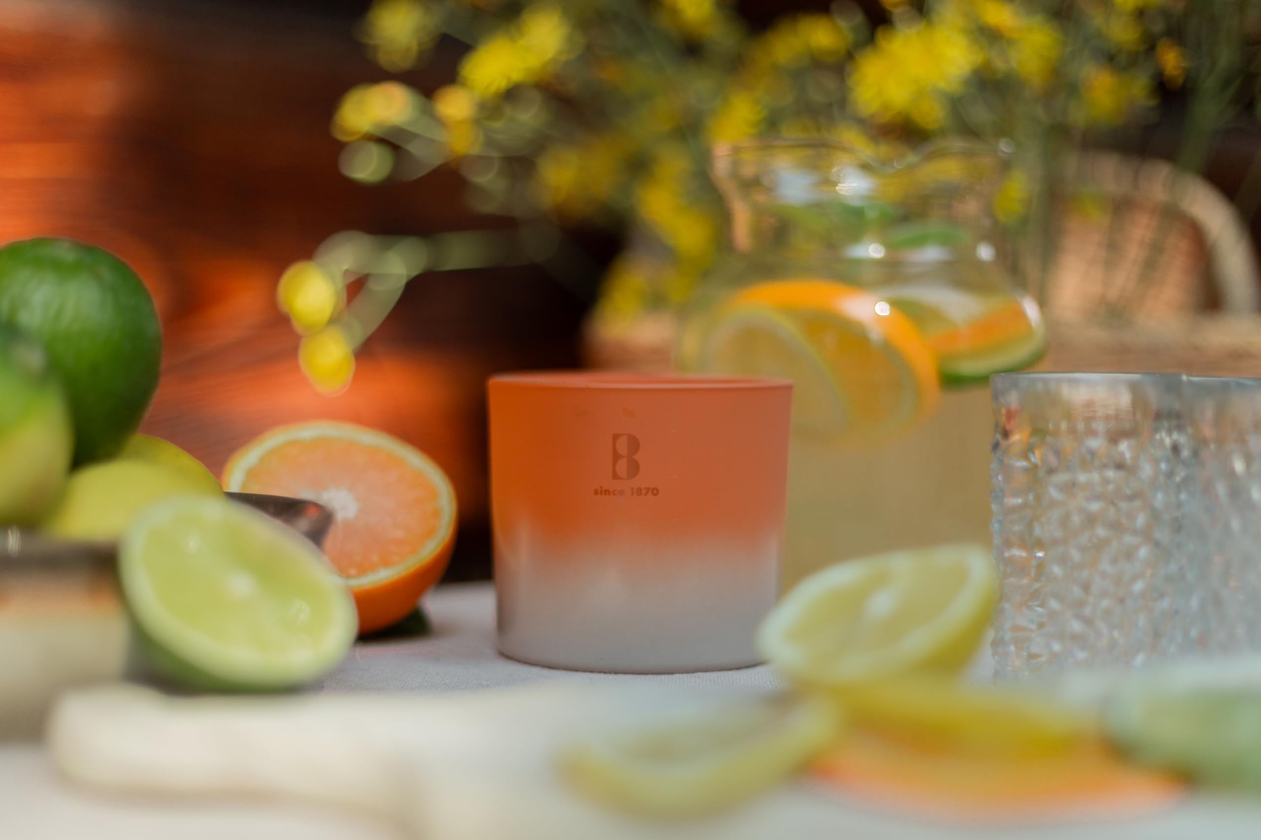 bolsius-summer-nights-bougie-ext-rieur-60h-terracotta image 4