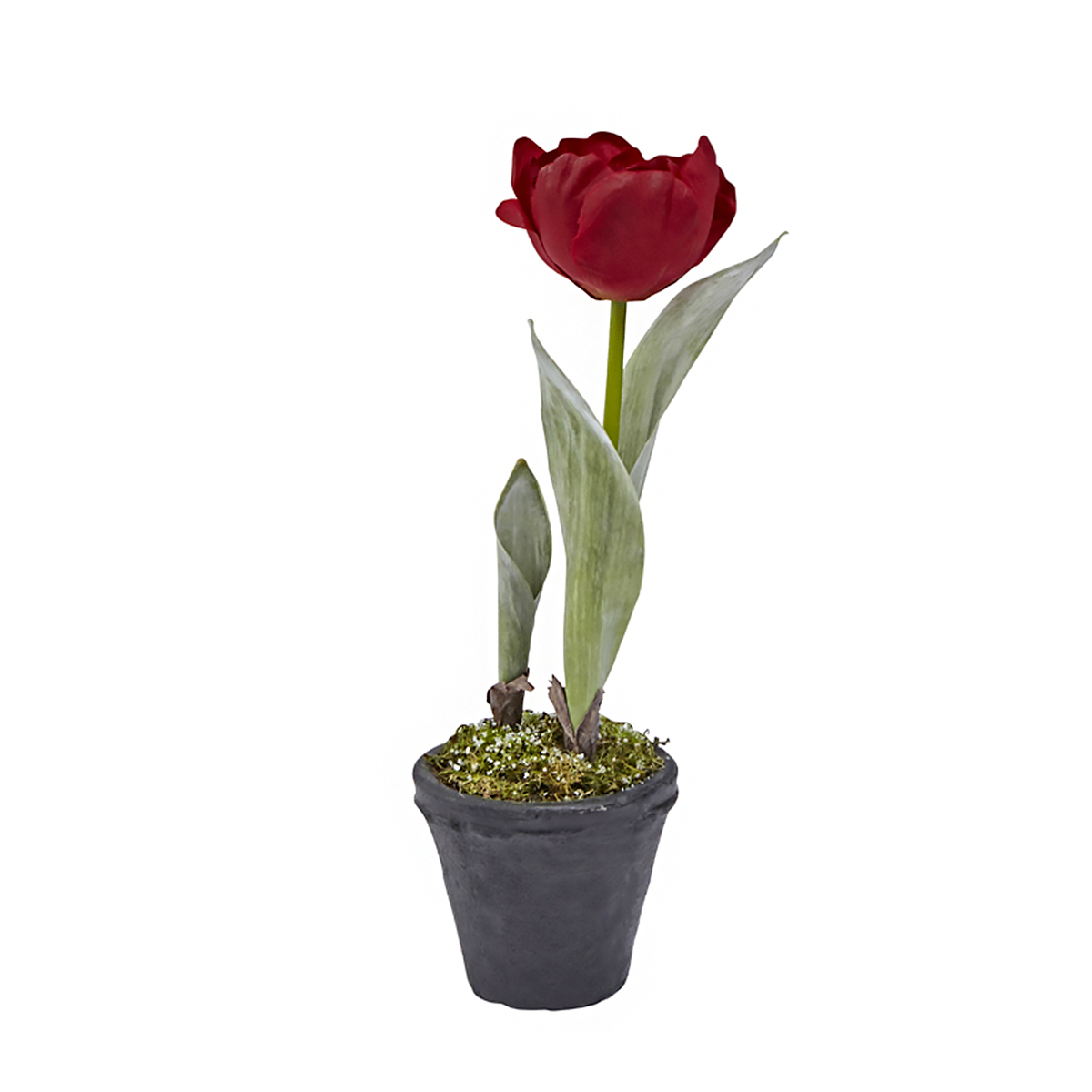 sia-deco-noah-tulipe-givr-e-plante-artificielle-blanc-pot-27-cm image 3