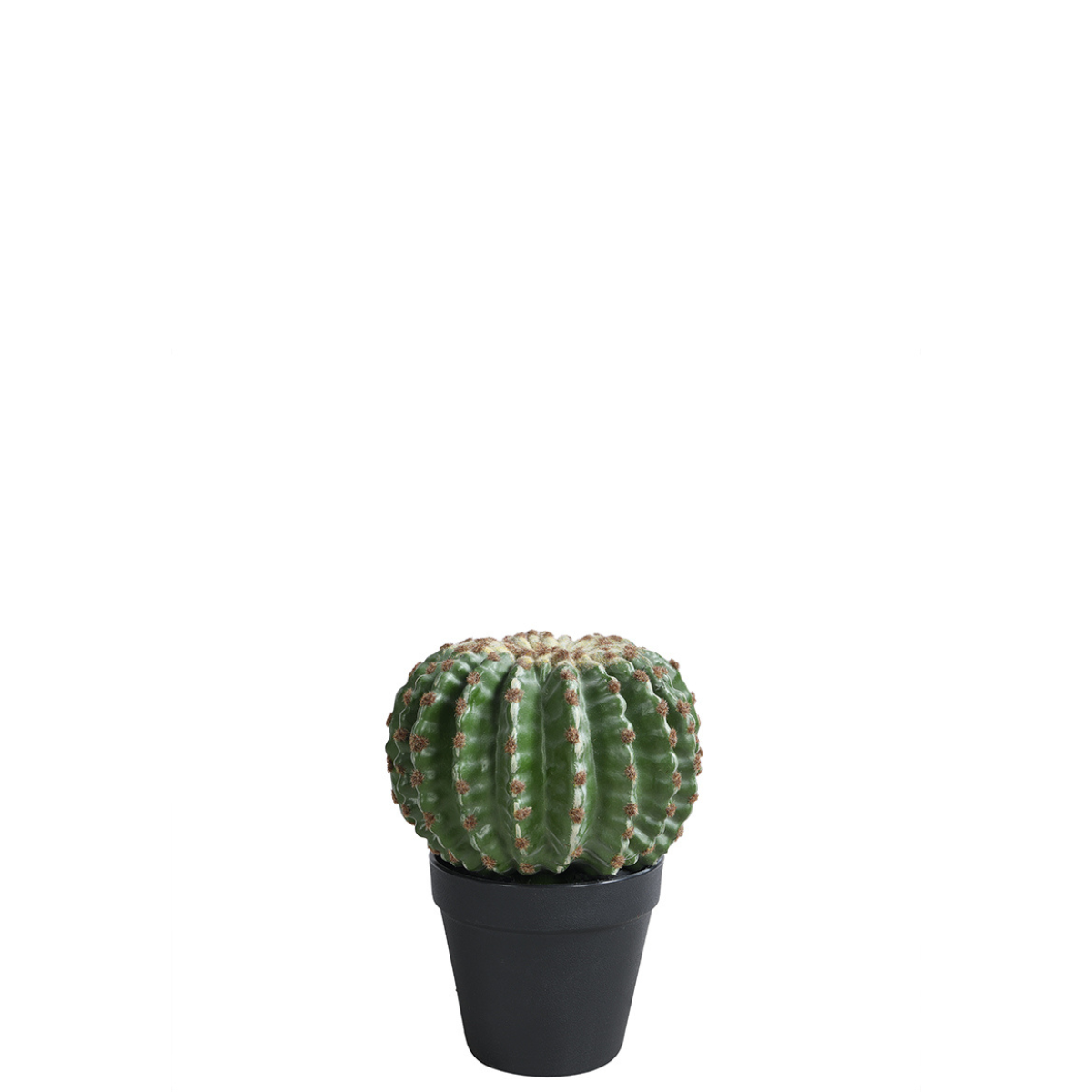 sia-noah-cactus-rond-en-pot-22-cm-vert image 1