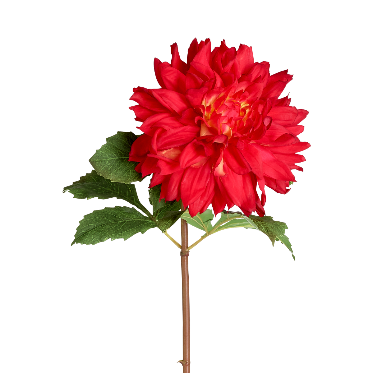 sia-deco-noah-tige-dahlia-premium-70-cm-orange-corail image 6