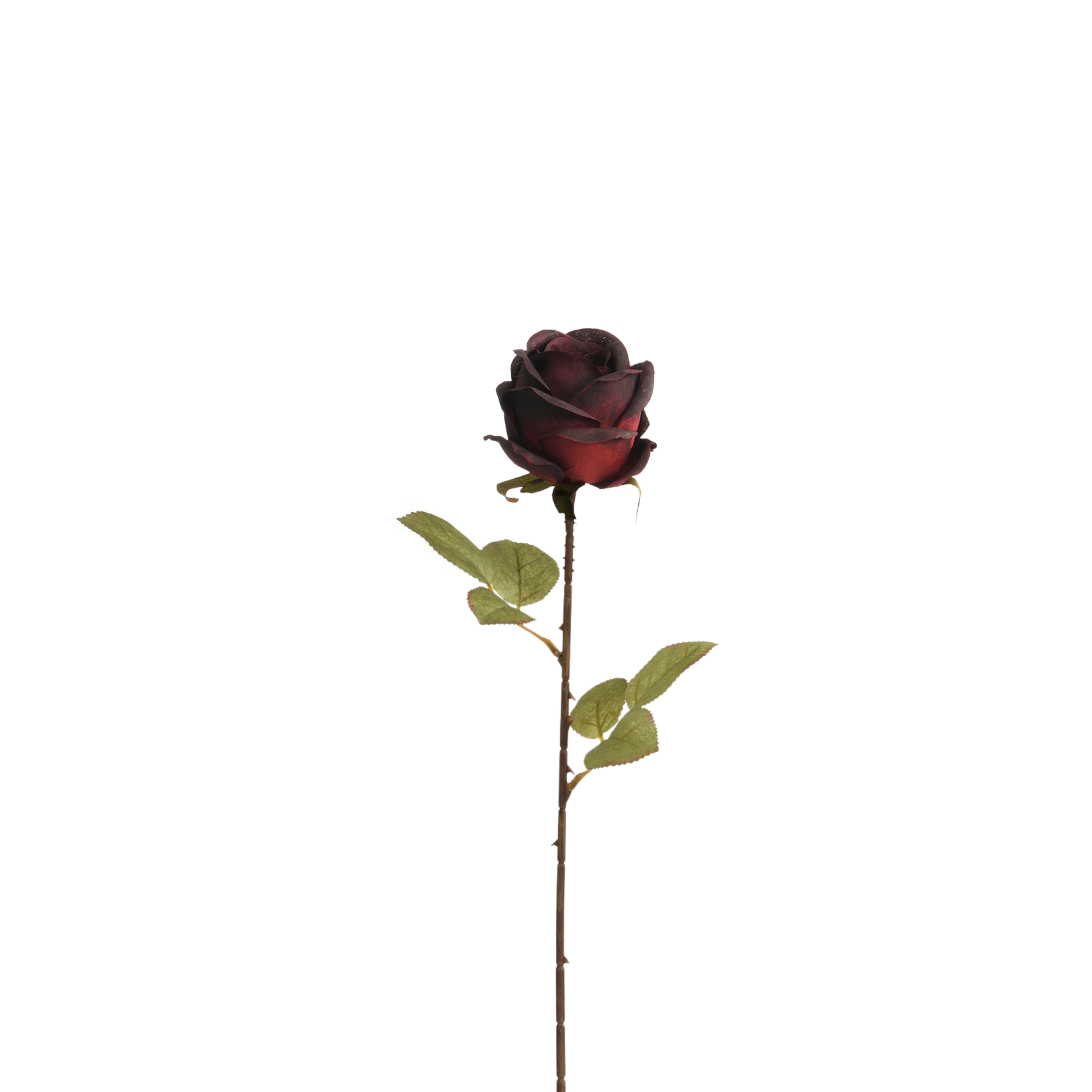 sia-noah-tige-rose-artificielle-56-cm-rose image 7