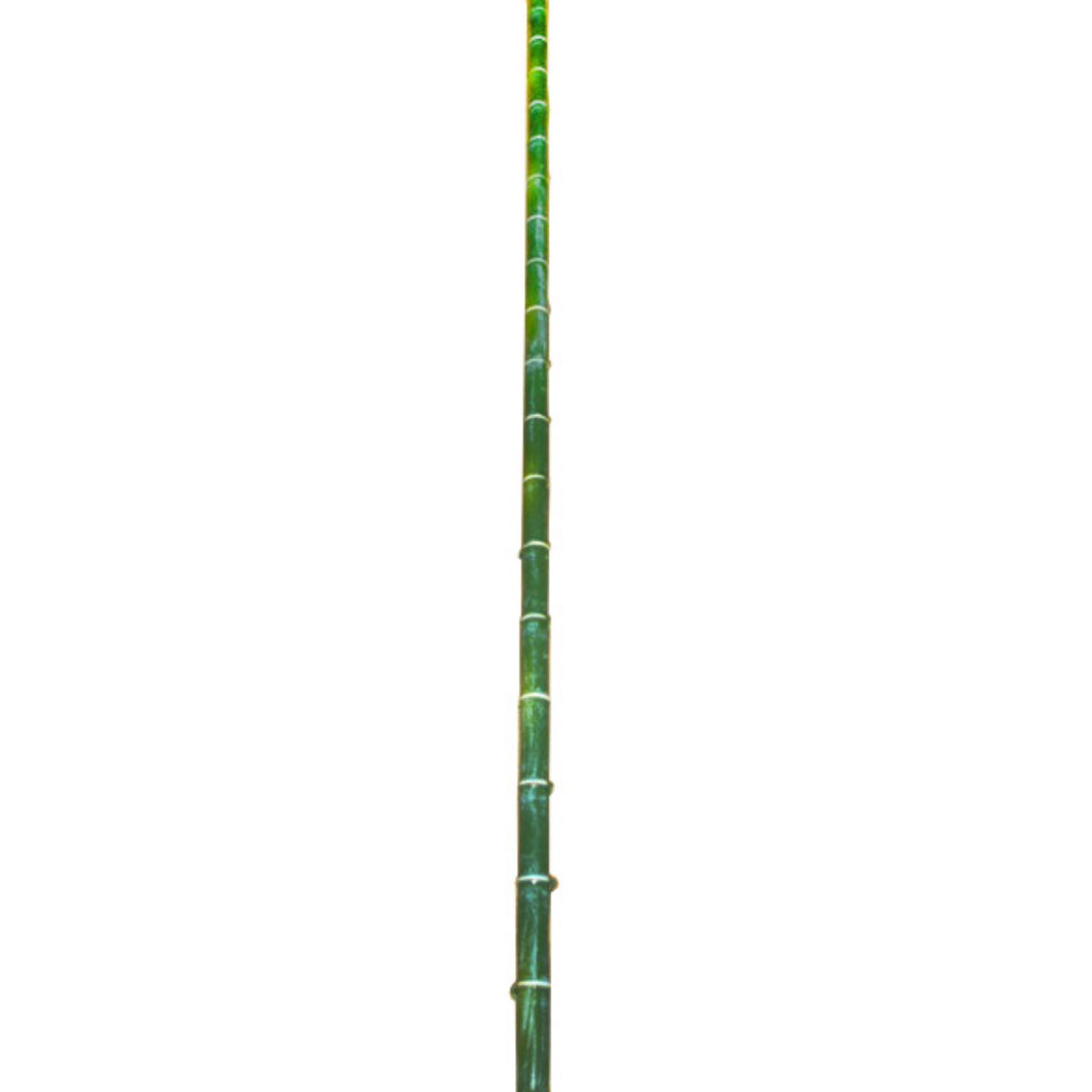 sia-deco-noah-branche-de-bambou-artificiel-vert-140-cm image 1