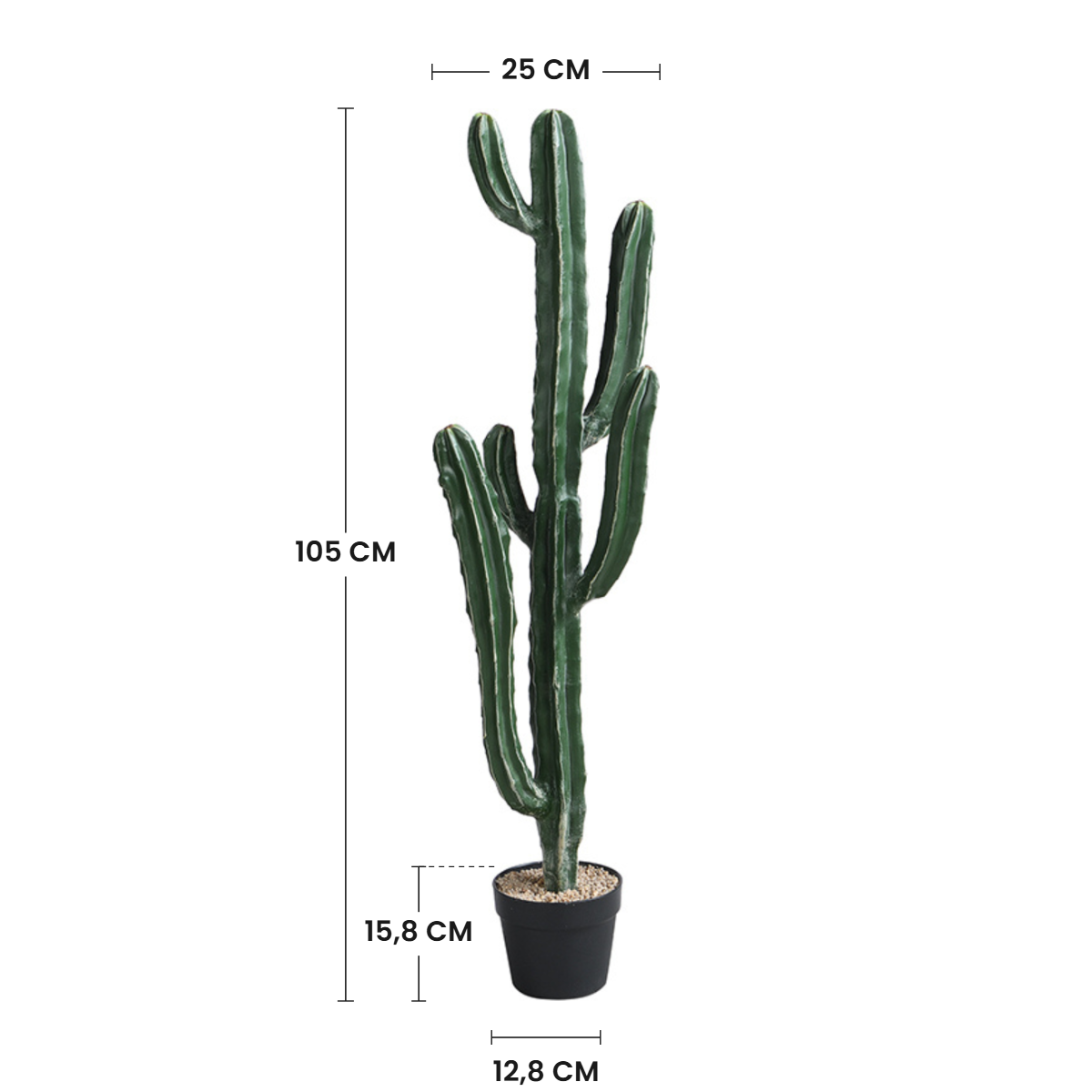 sia-deco-noah-cactus-cereus-vert-en-pot-105-cm image 4