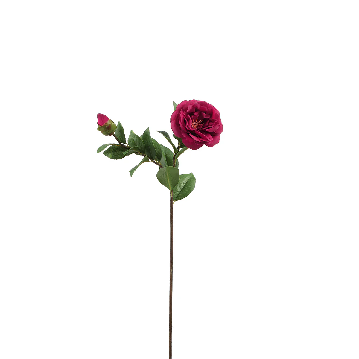 sia-noah-cam-lia-tige-fleur-artificielle-cr-me-52-cm image 3