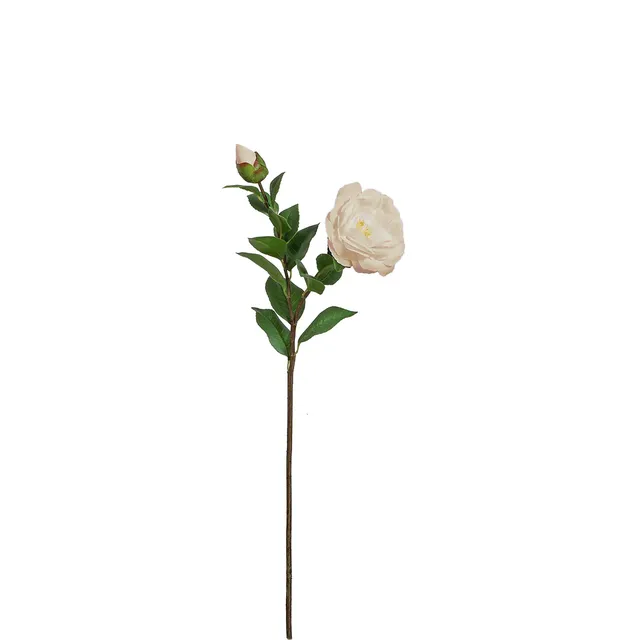 sia-noah-cam-lia-tige-fleur-artificielle-cr-me-52-cm image 1