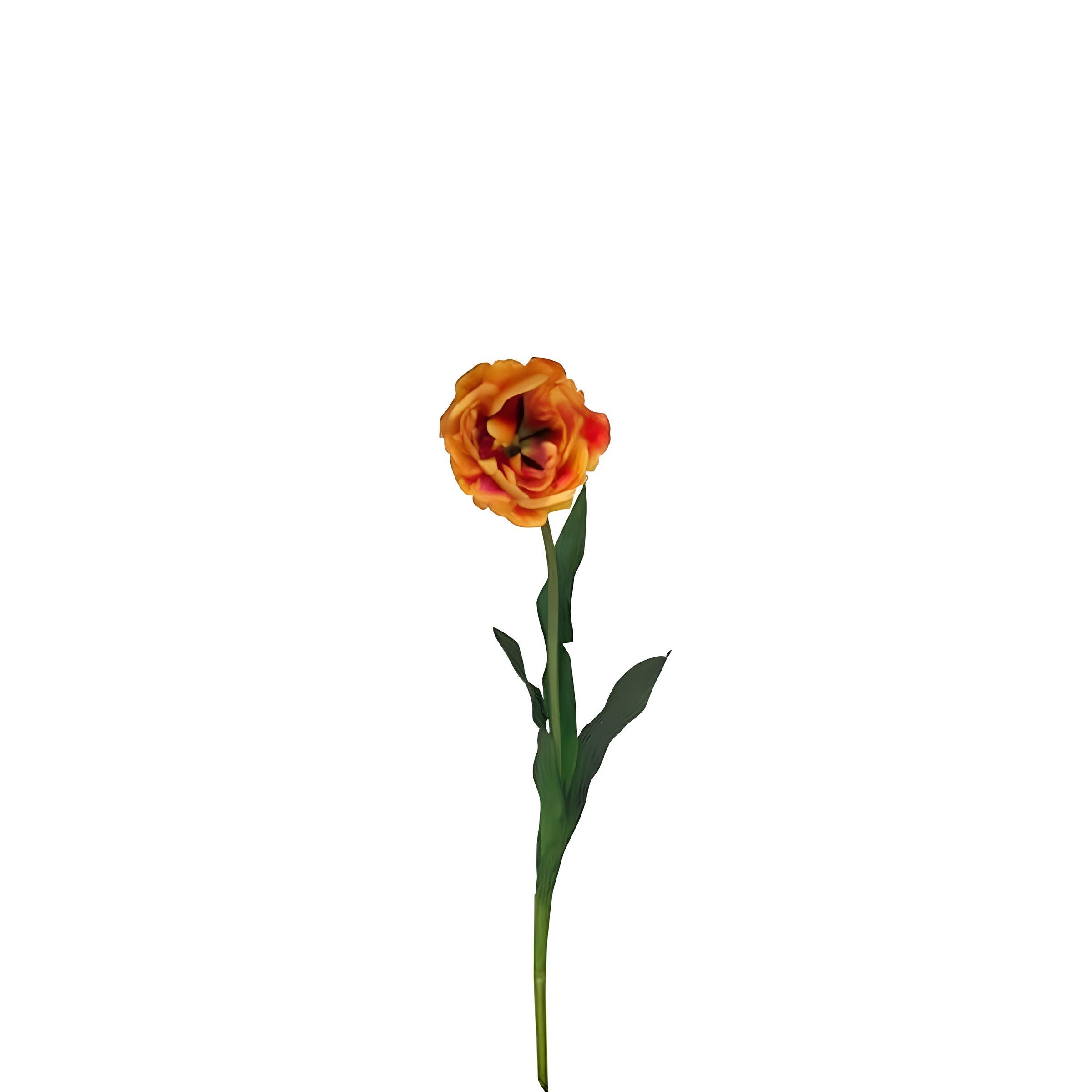 sia-noah-tige-tulipe-double-artificielle-orange-70-cm image 2