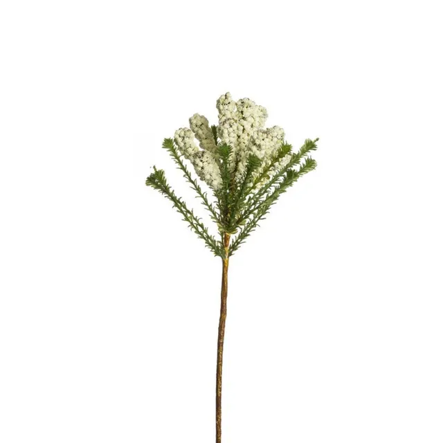sia-deco-noah-pin-africain-48-cm-tige-cr-me-vert image 1