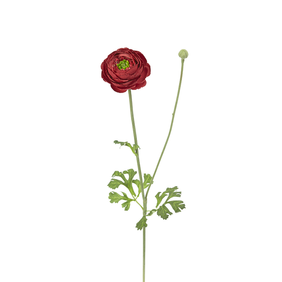 sia-deco-noah-tige-renoncule-fleur-artificielle-rose-56-cm image 6
