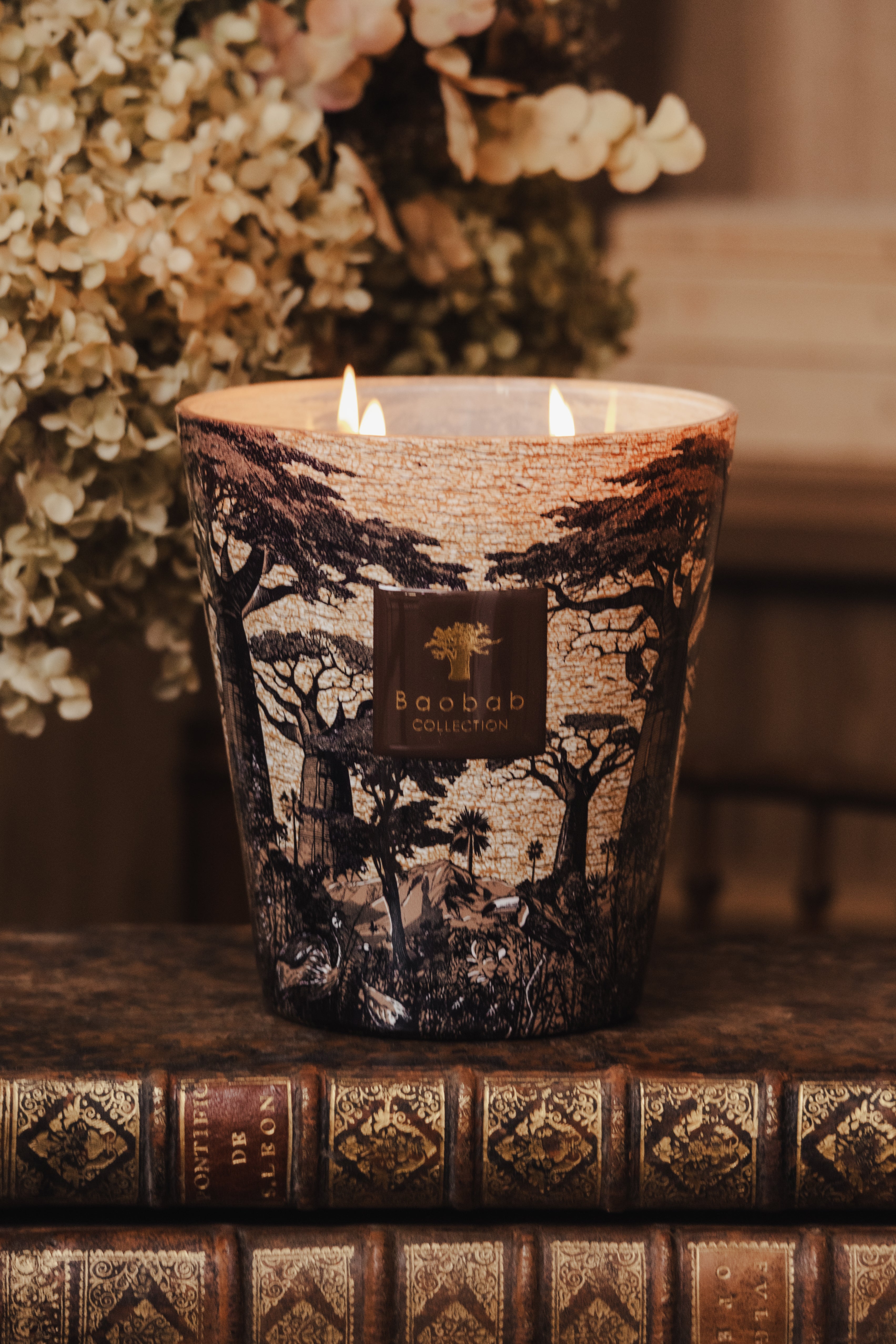 baobab-collection-sacred-trees-mankono-bougie-classique-pic-e image 3