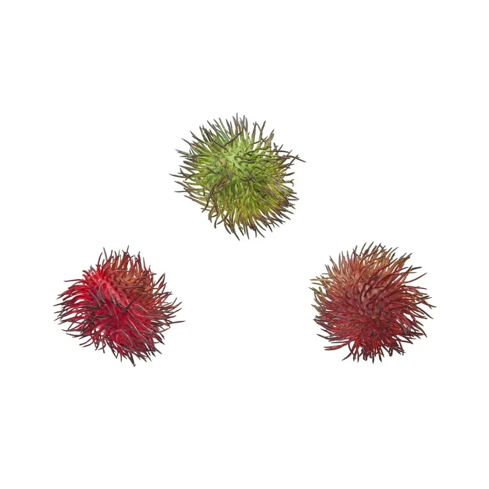 sia-deco-noah-ramboutans-artificiels-rouges-7-cm-lot-3 image 1