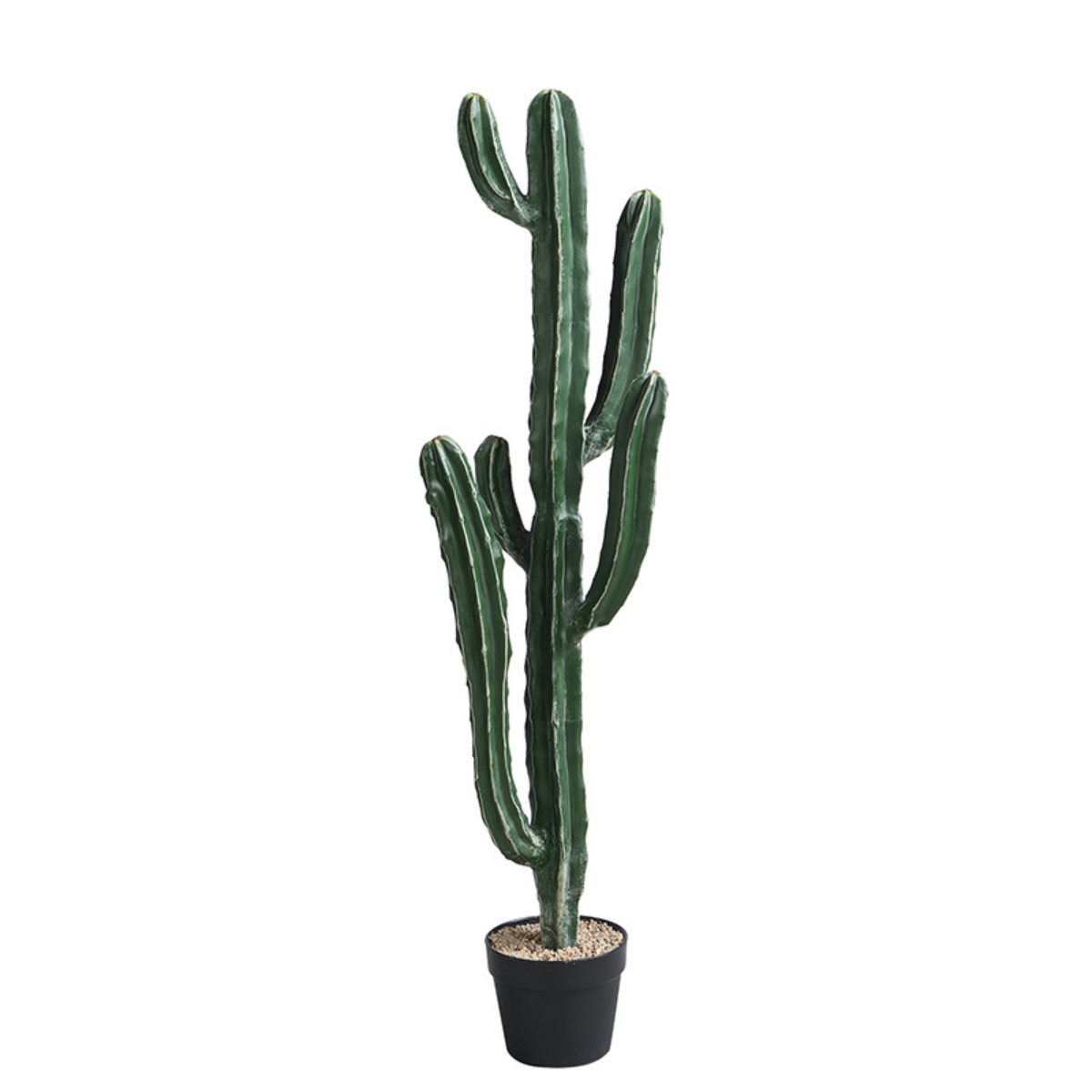 sia-deco-noah-cactus-cereus-vert-en-pot-105-cm image 1