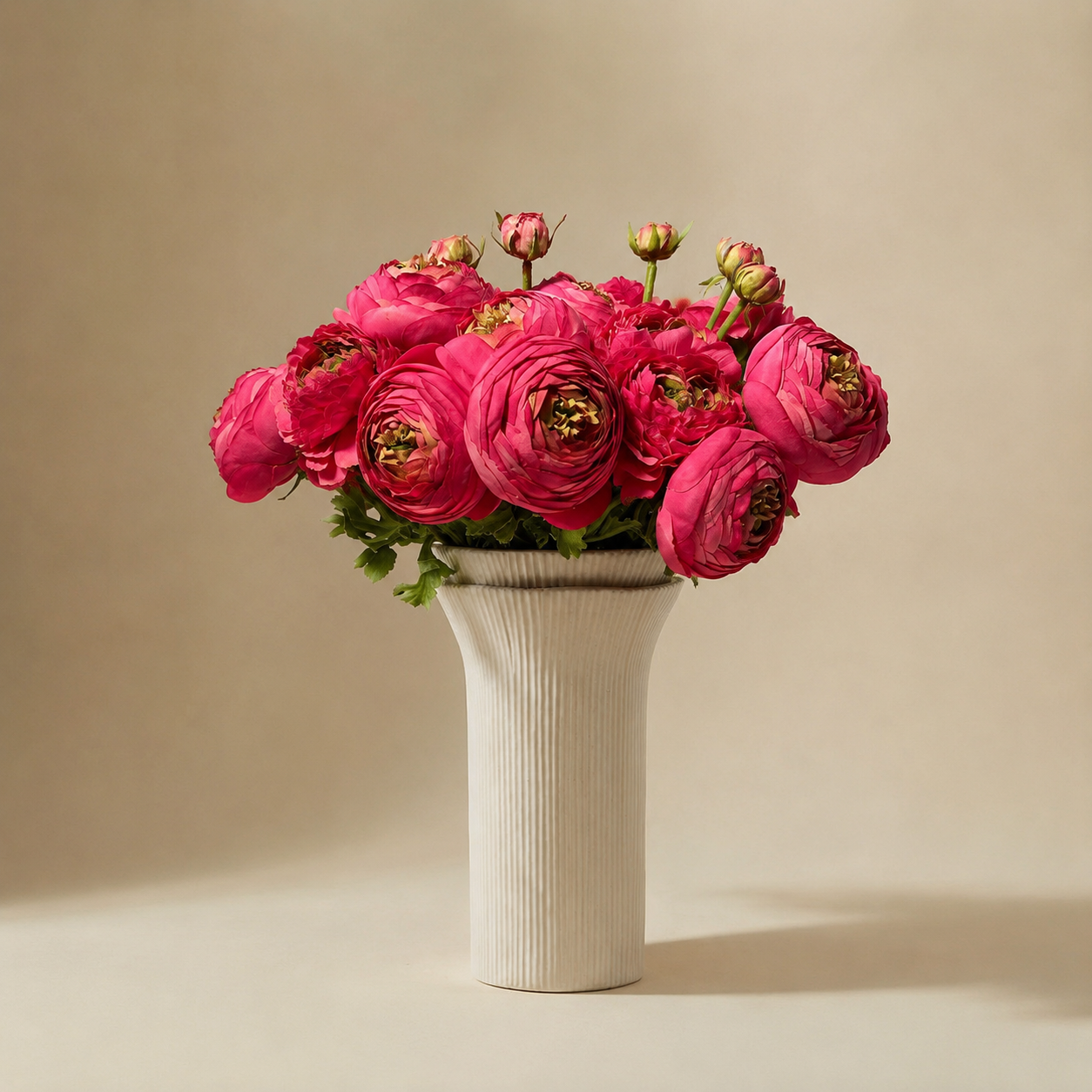 sia-deco-noah-bouquet-renoncules-fuchsia-17-tiges-40-cm image 1
