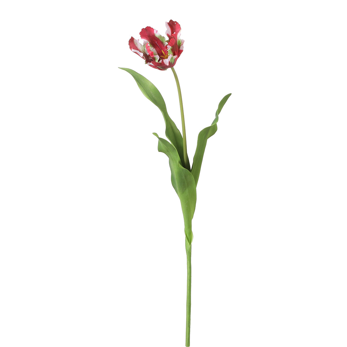 sia-deco-noah-tulipe-perroquet-tige-fleur-rose-63-cm image 7