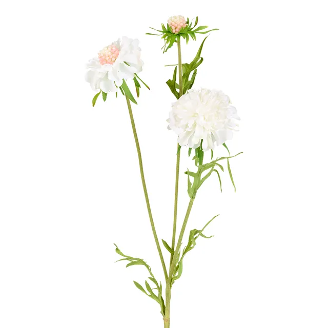 sia-noah-scabiosa-fleur-artificielle-blanc-59-cm image 1