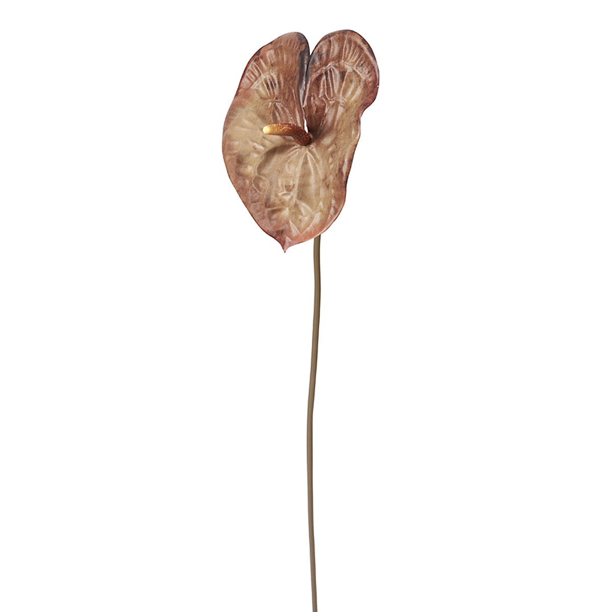 sia-deco-noah-anthurium-ombr-fleur-artificielle-marron-76-cm image 3