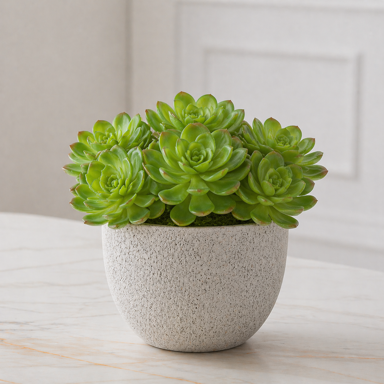 sia-deco-noah-feuillage-echeveria-vert-20-cm image 2