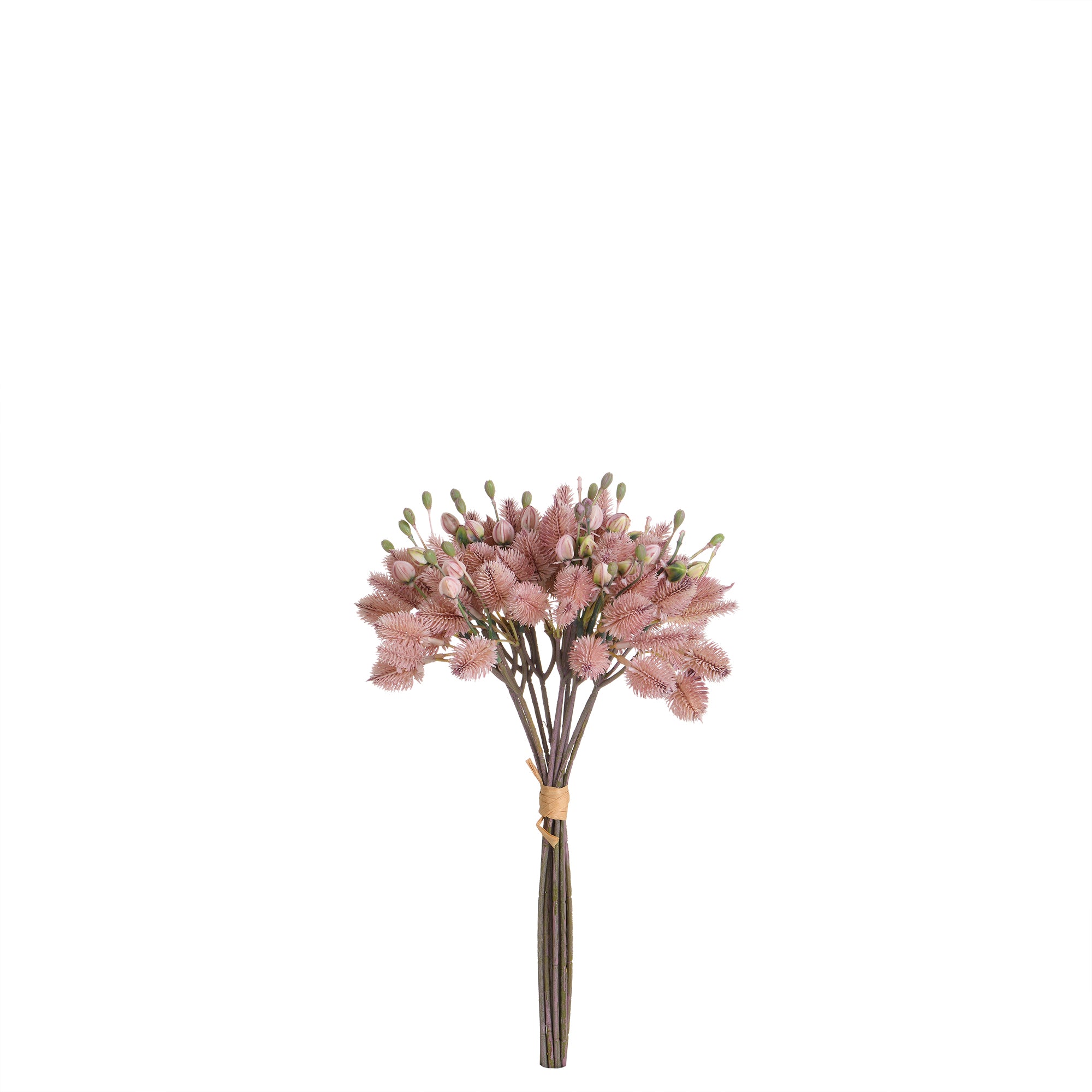 sia-noah-bouquet-chardon-artificiel-40-cm-marron image 7