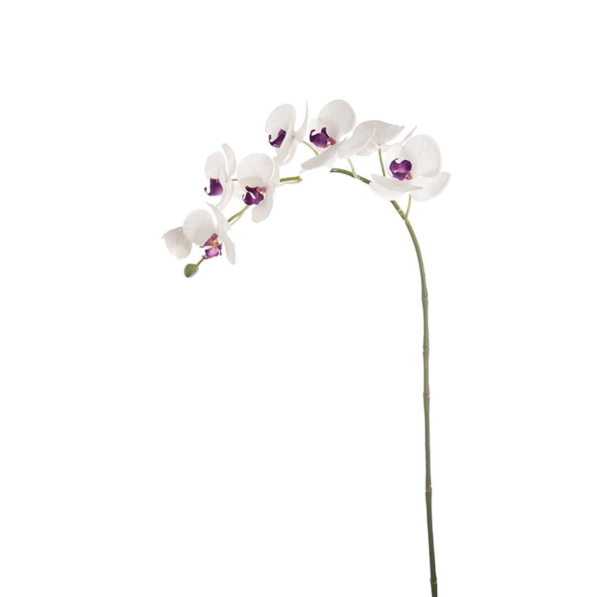 sia-deco-noah-forever-tige-orchid-e-artificielle-fuchsia image 5