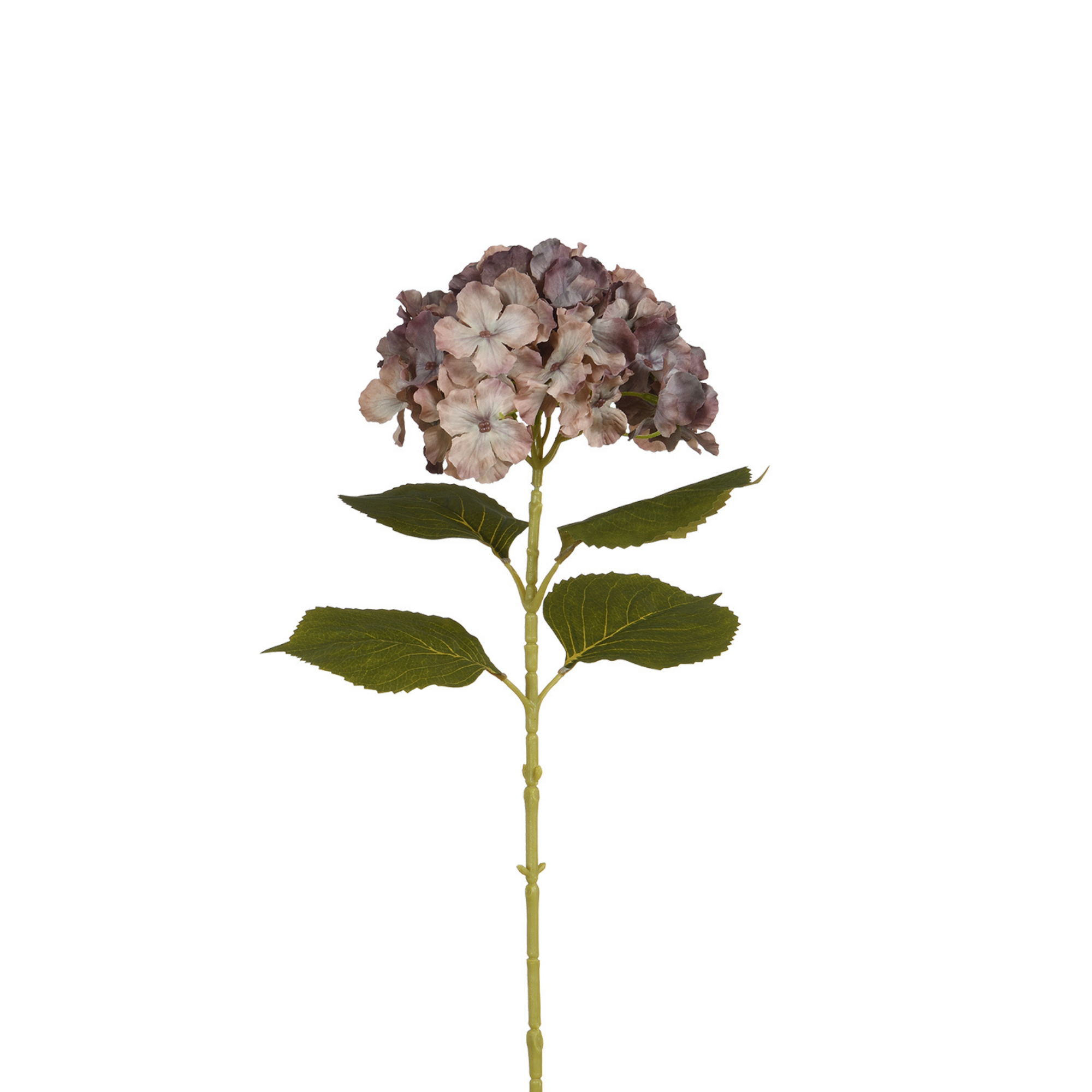 sia-noah-tige-hortensia-68-cm-marron-fleur-artificielle image 1